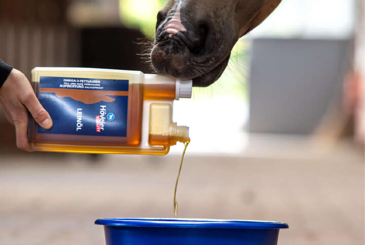 teaser fellwechsel landingpage leinöl teaser fellwechsel landingpage leinöl